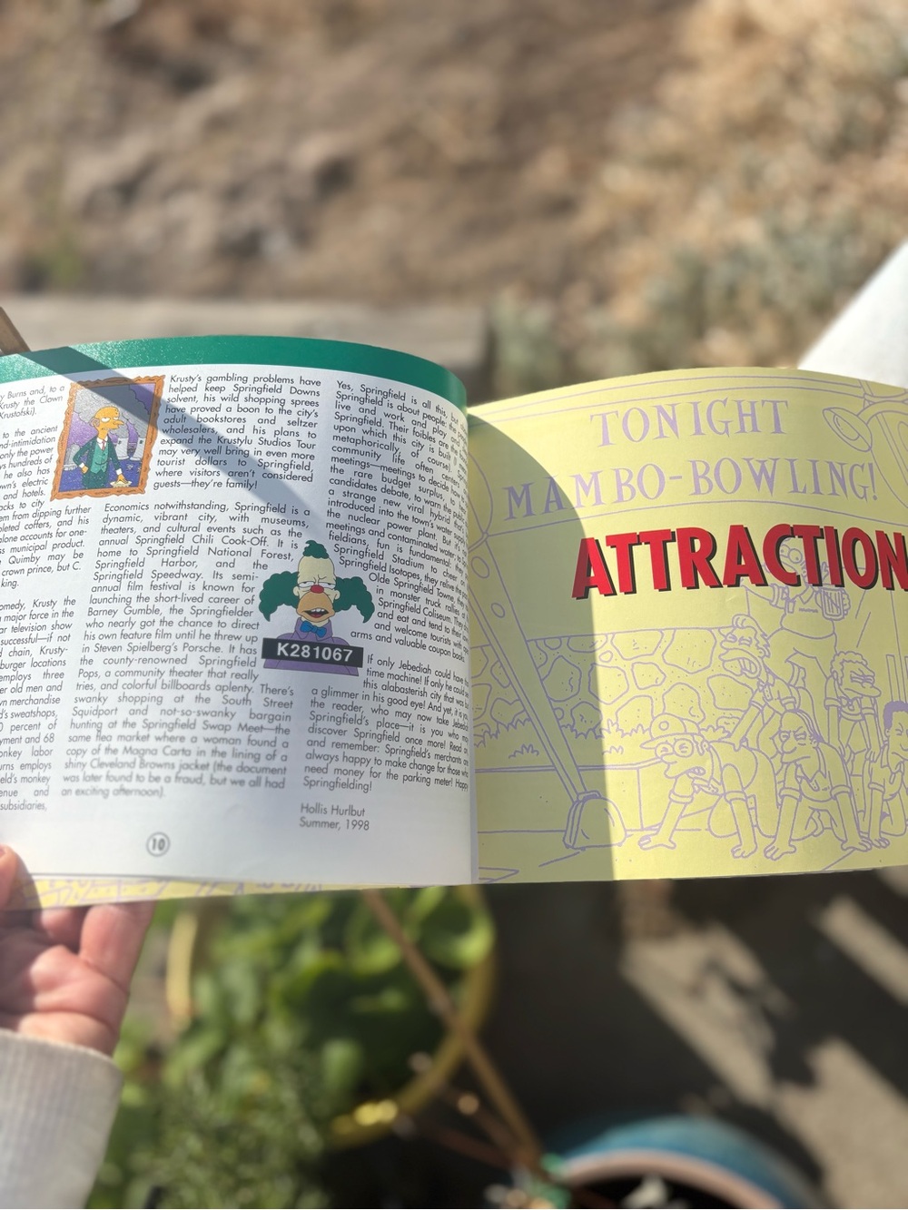 Springfield The Simpsons. Book - Picture 5 of 8